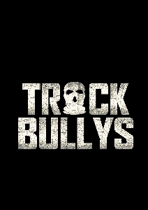 track bullys silver.jpg